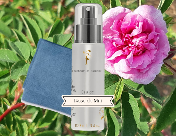 Duo Visage Éclatant - Rose