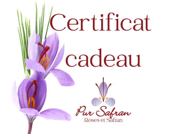 $$$ Certificat Cadeau $$$