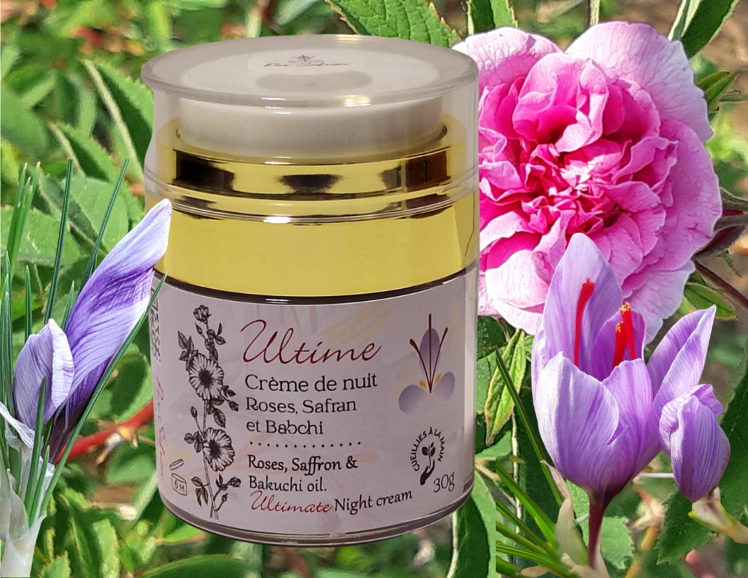Ultimate Night Cream