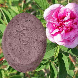 Shampoing artisanal à la rose sauvage